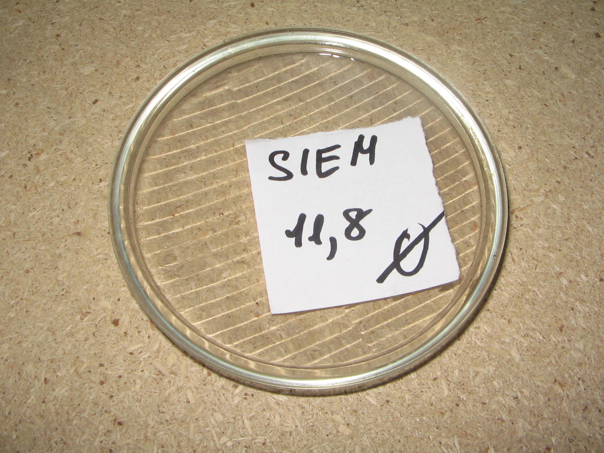 VETRO FARO SIEM N.1.246